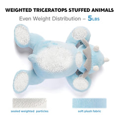 IKASA Triceratops gift-ready box for birthdays.