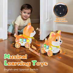 Ingbear bilingual English-Spanish learning aids language skills