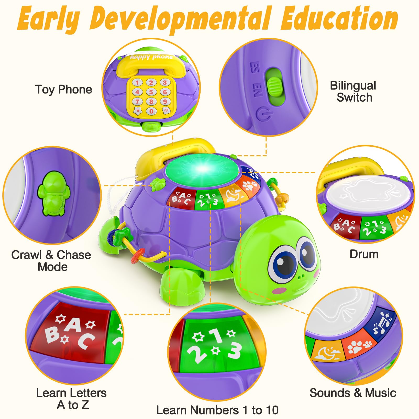 INNOSKY turtle-safe ABS design with BPA-free materials ensures baby-friendly exploration.