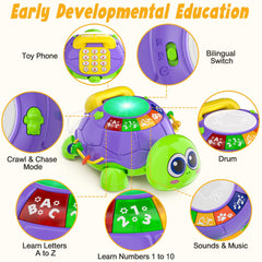 INNOSKY turtle-safe ABS design with BPA-free materials ensures baby-friendly exploration.