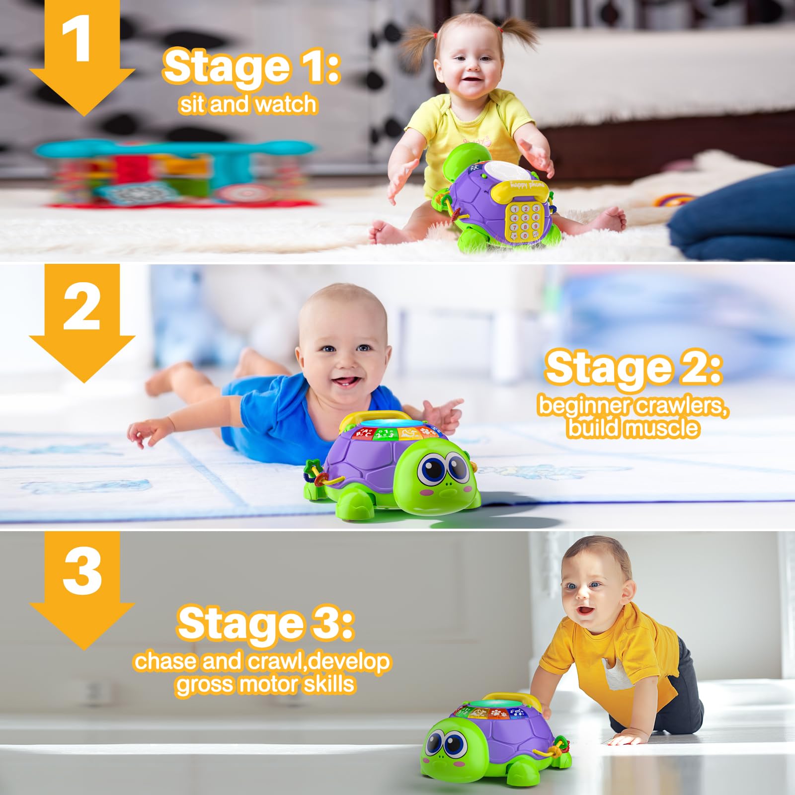 INNOSKY turtle sound-music teaches sounds and rhythms with playful melodies.