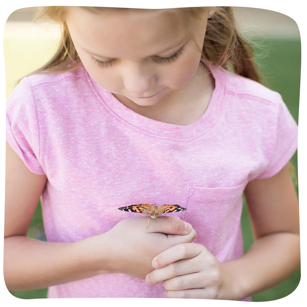 Insect Lore homeschool activity invites hands-on science at home.