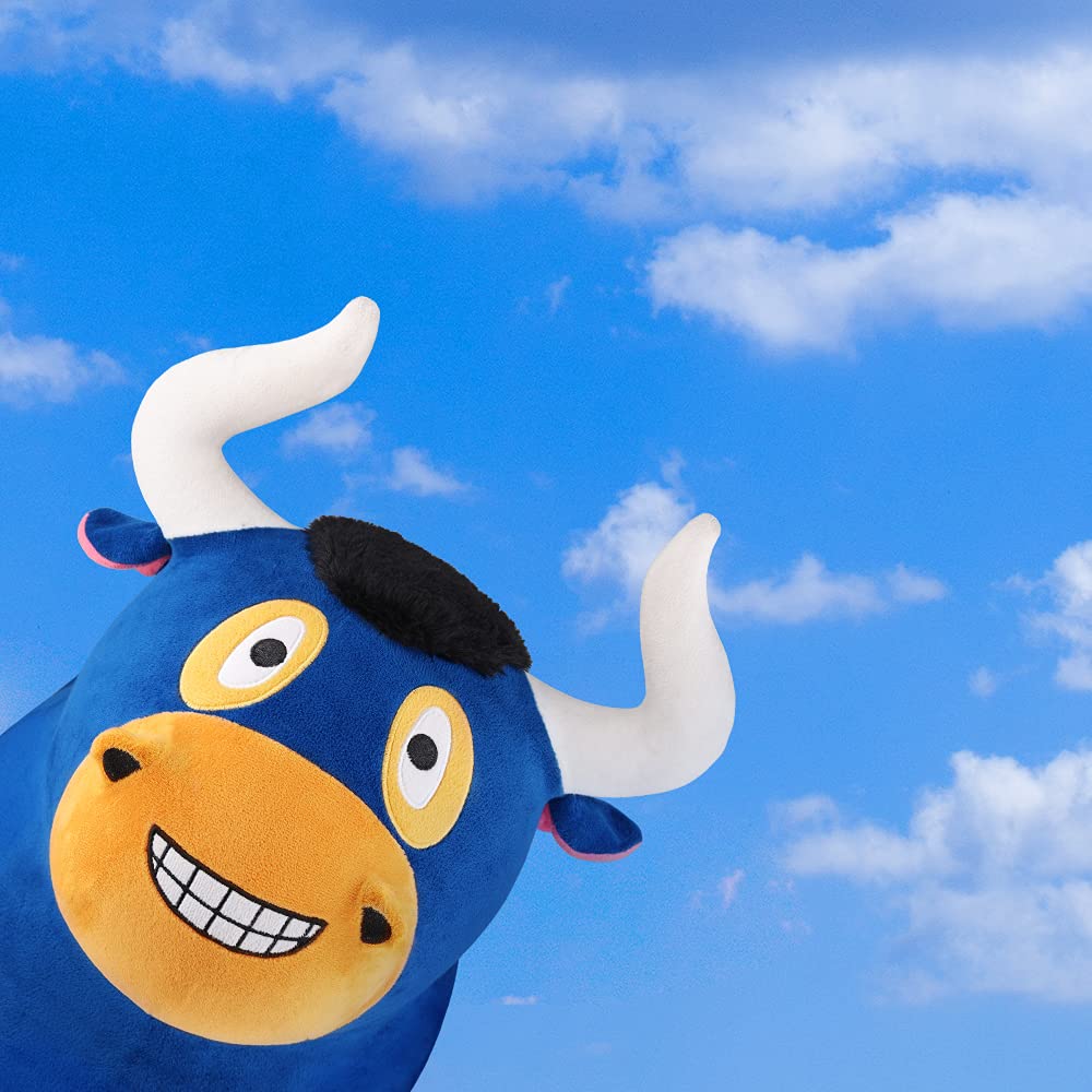 iPlay Bouncy Pals indoor-outdoor use for versatile play