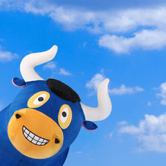 iPlay Bouncy Pals indoor-outdoor use for versatile play