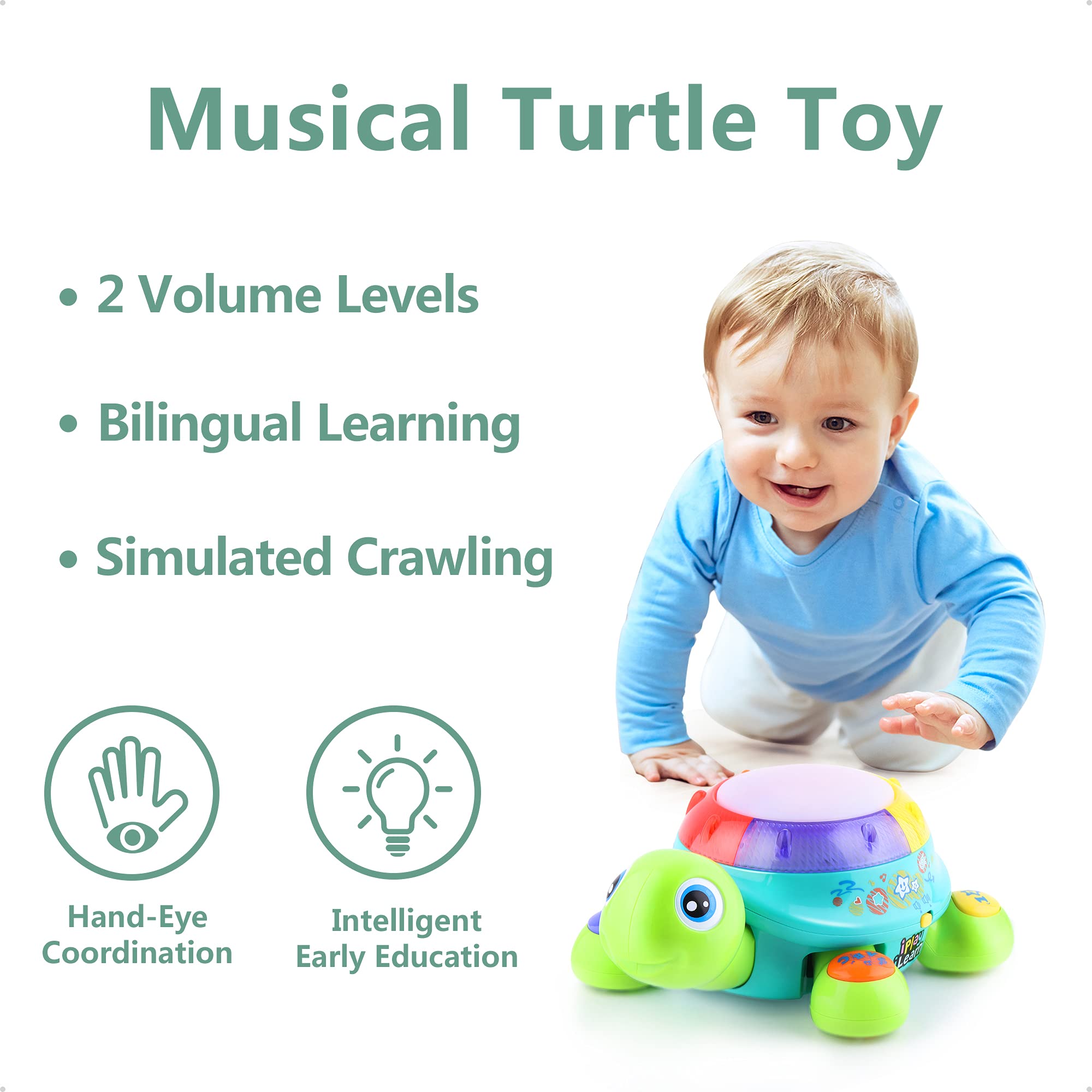 iPlay iLearn turtle toy light and sound visuals engage early visual tracking.