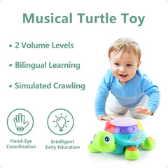 iPlay iLearn turtle toy light and sound visuals engage early visual tracking.