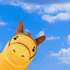 iPlay iLearn Bouncy Pals horse gift-ready packaging for birthdays or holidays