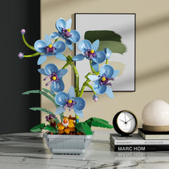 itshWOee Gift-ready orchid set perfect for Mother's Day or birthdays.