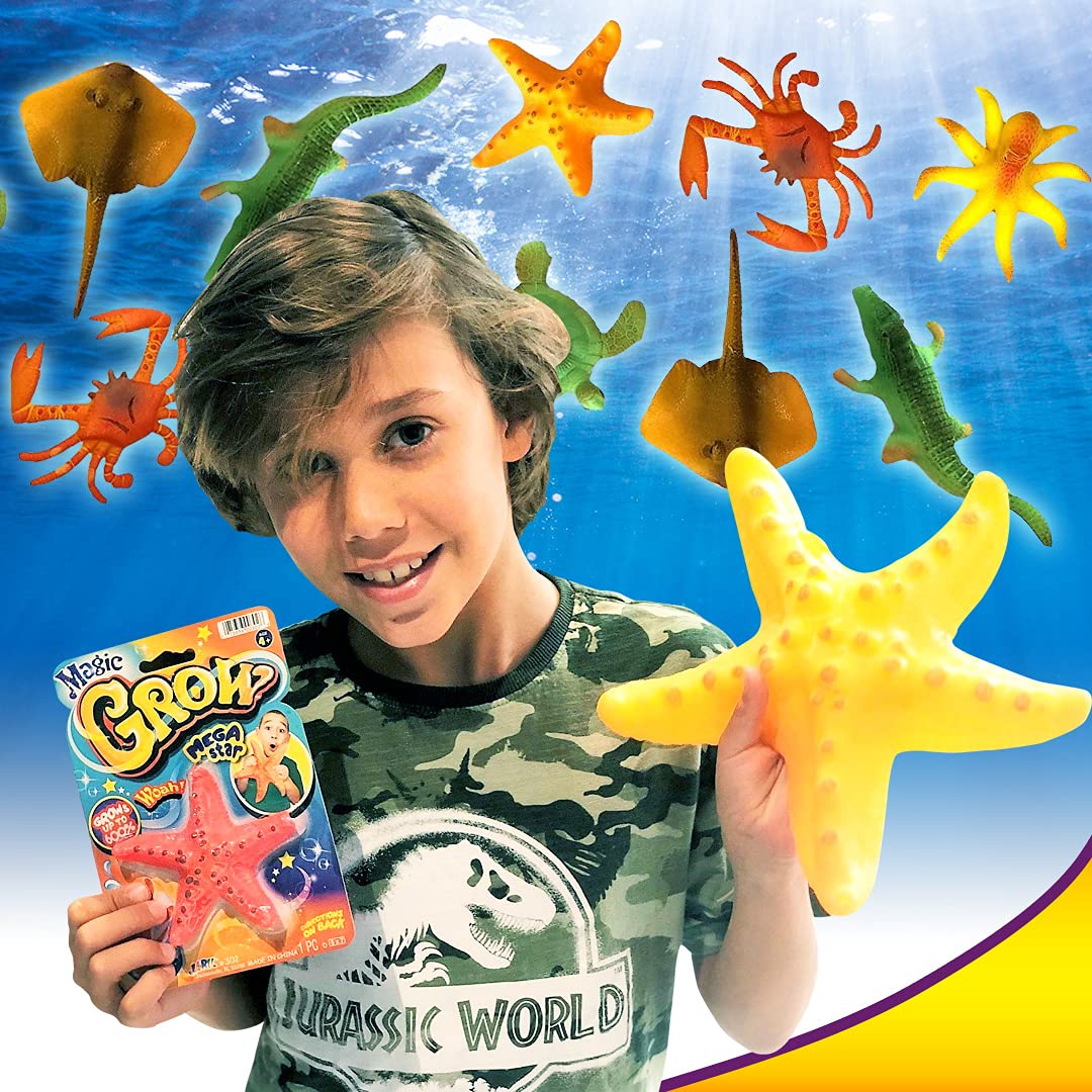 JA-RU Magic Grow turtle expands when soaked for sensory play