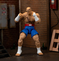 Jada Sagat Deluxe full display on shelf for collectors