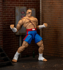 Jada Sagat Deluxe Tiger Uppercut pose-ready for arcade nostalgia