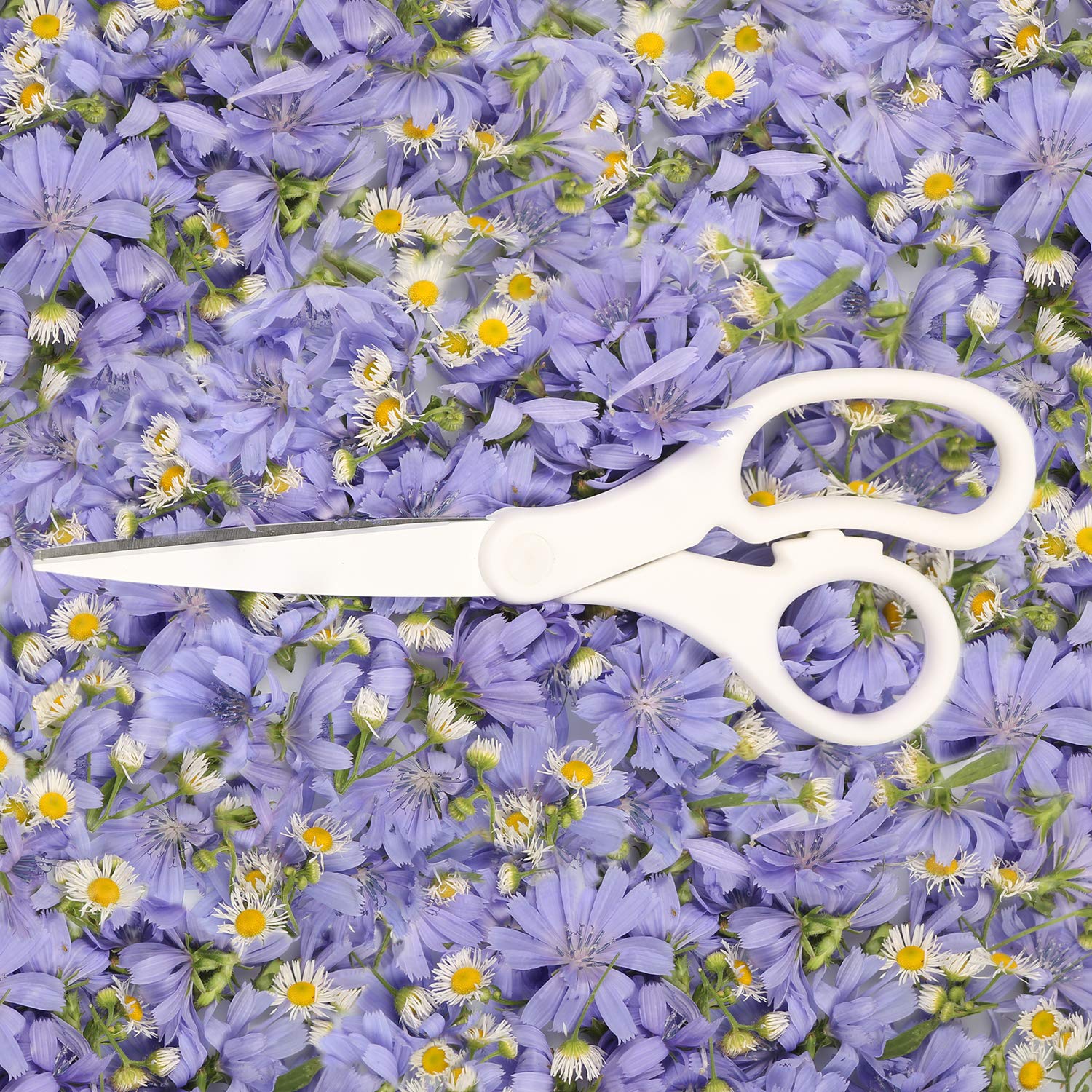JAM Paper scissors sold individually for flexible workspace use