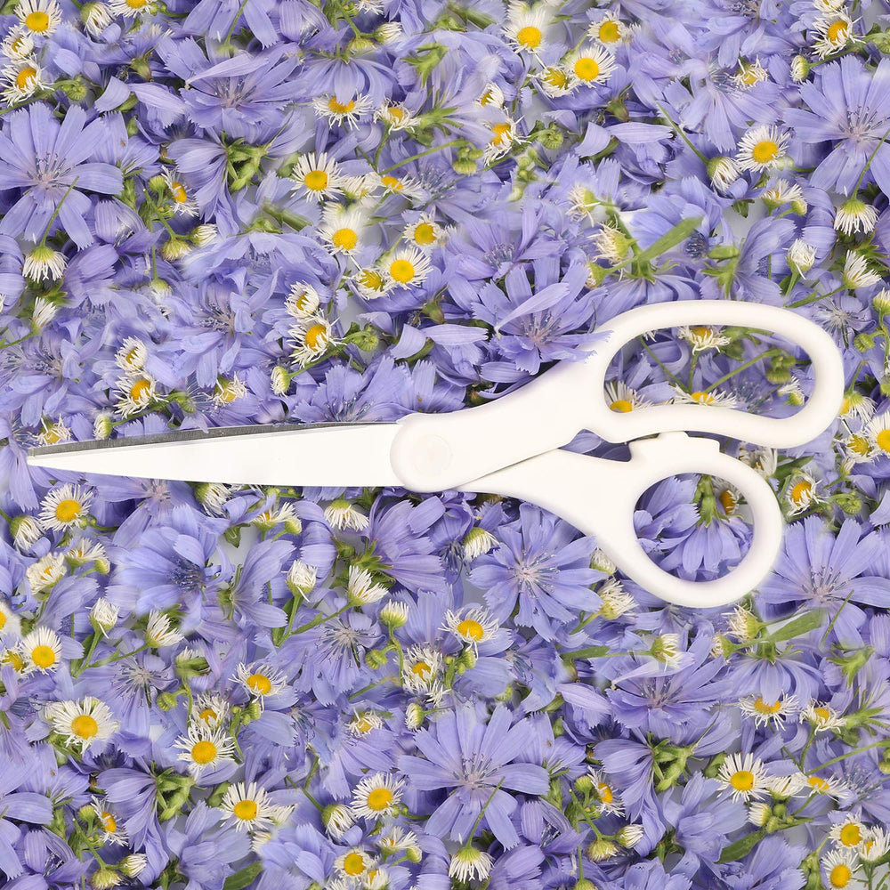 JAM Paper scissors sold individually for flexible workspace use