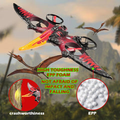 Jaming Dragon RC Plane indoor flight showcases safe operation in confined spaces.