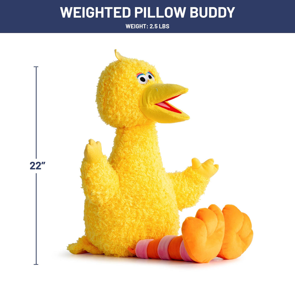 Sesame Street Big Bird pillow with plush texture for bedtime rituals and decor.