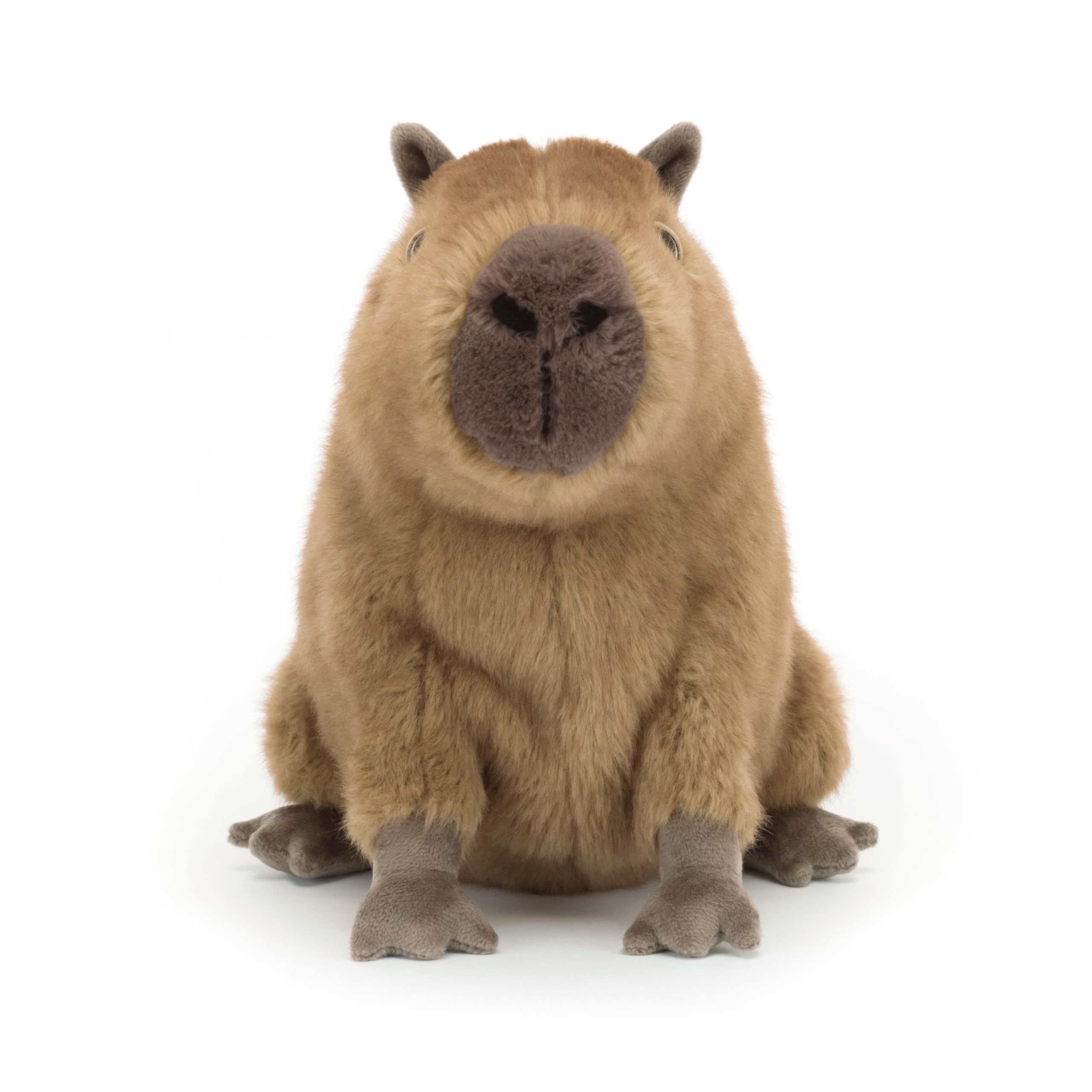 Jellycat Clyde Capybara gift-ready packaging, ideal for gifting.