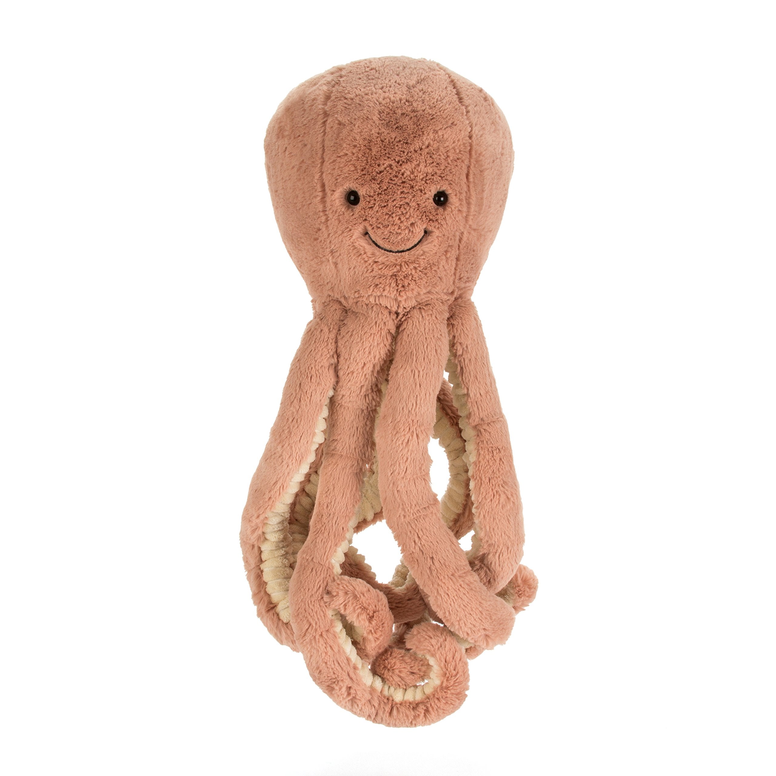 Odell Octopus with eight dangling tentacles inviting tactile exploration