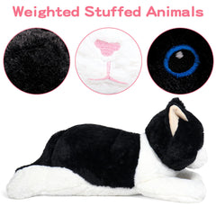 JellyMallow cat-weighted plush 24in side view shows generous length for full-body support.