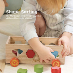Jessruly Shape Sorter pull-along car boosts mobility and active toddler engagement.