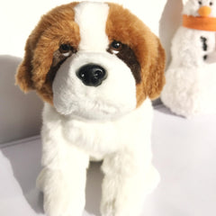 JIANEEXSQ Saint Bernard gift packaging image shows ready-to-gift presentation