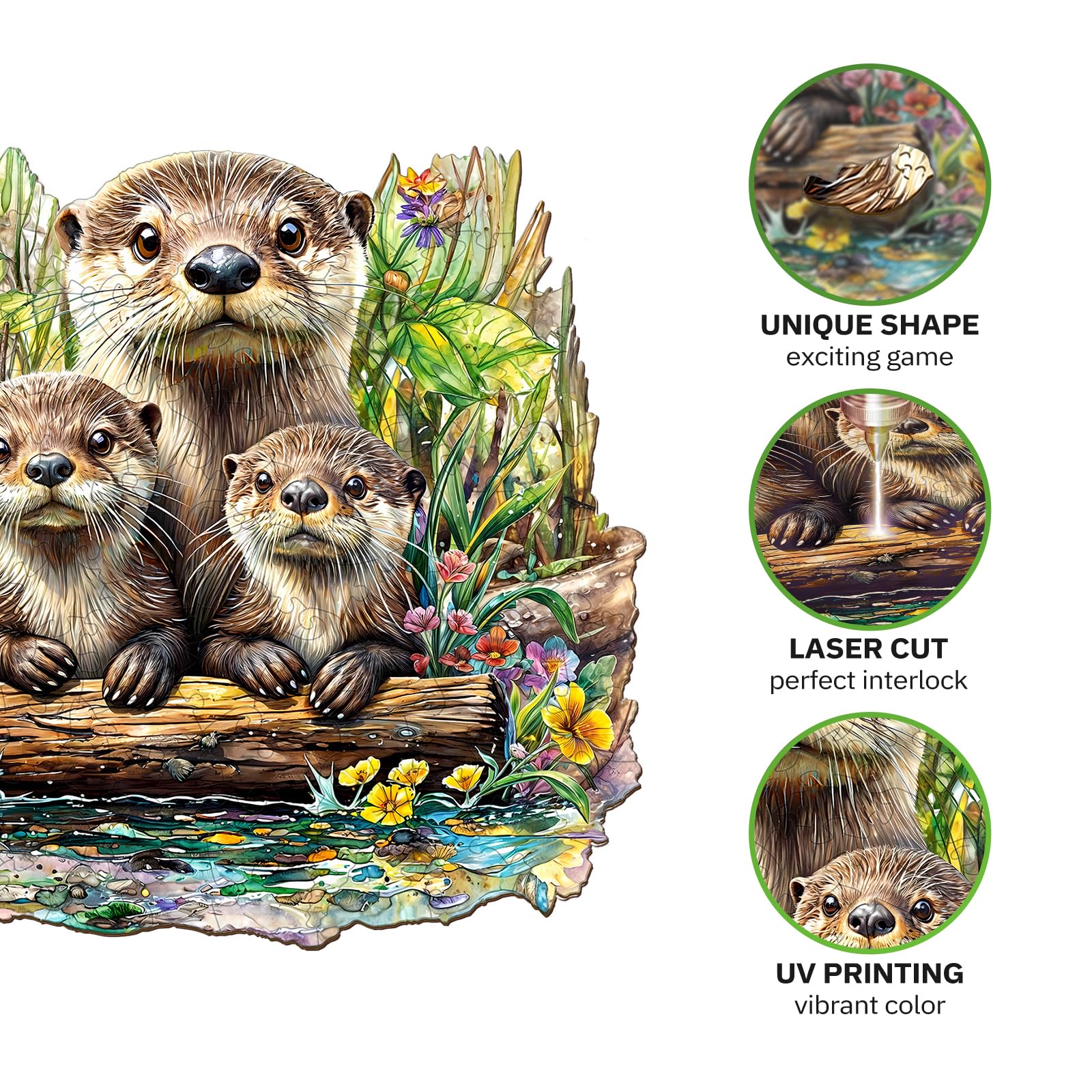 Jigfoxy finished display otter puzzle adds charming room decor.