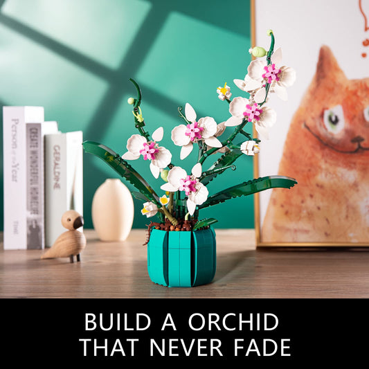 JOJO&Peach orchid bloom in white and yellow for elegant home or office decor.