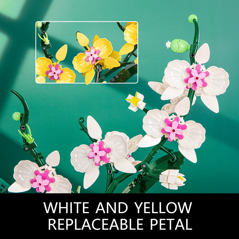 JOJO&Peach orchid bonsai buildable vase and structure for easy styling.