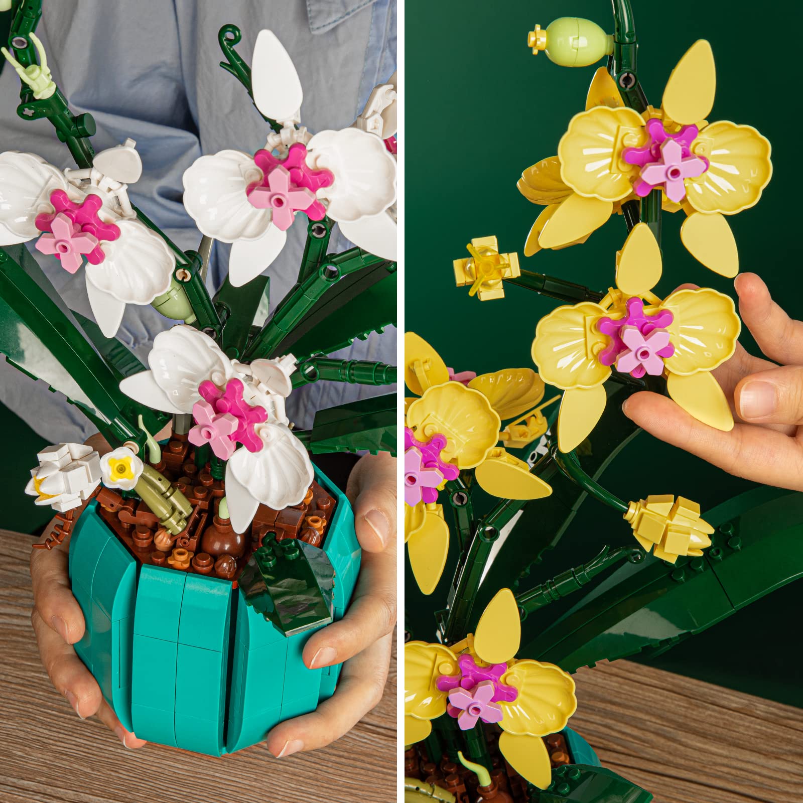 JOJO&Peach orchid bonsai gift-ready card included for special occasions.
