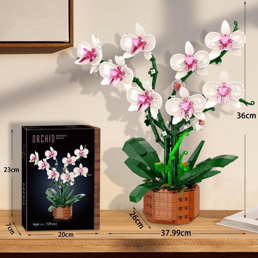 Joniuuca orchid pieces with stems and leaves form a lifelike display.