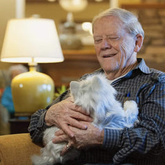 JOY FOR ALL companion cat calm room setup demonstrates home-friendly use.