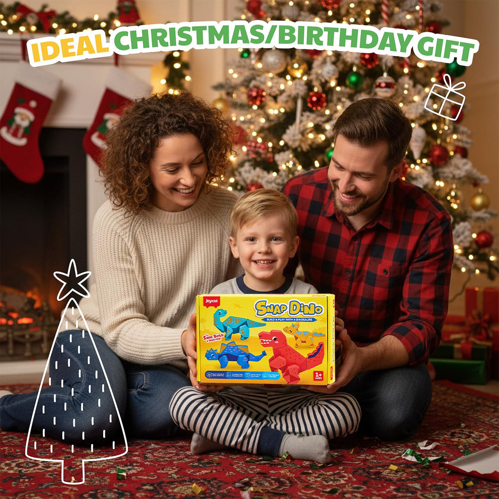 JoyCat gift-pack box ready for birthdays and holidays