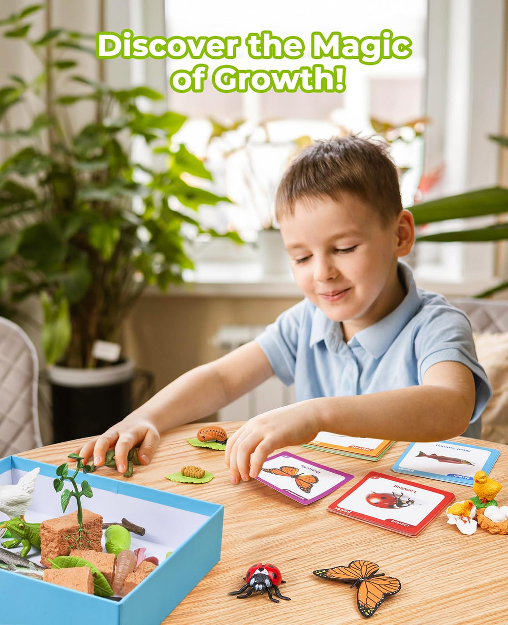JoyCat life cycle bee figure invites kids to explore pollination through play.