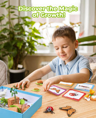 JoyCat life cycle bee figure invites kids to explore pollination through play.