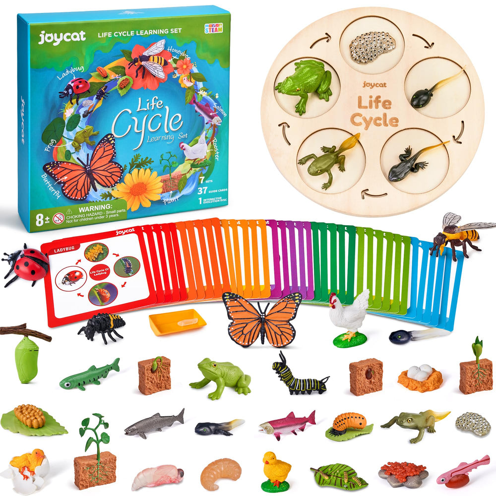 JoyCat life cycle butterfly figure for hands-on exploration and early science curiosity.