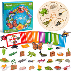JoyCat life cycle butterfly figure for hands-on exploration and early science curiosity.