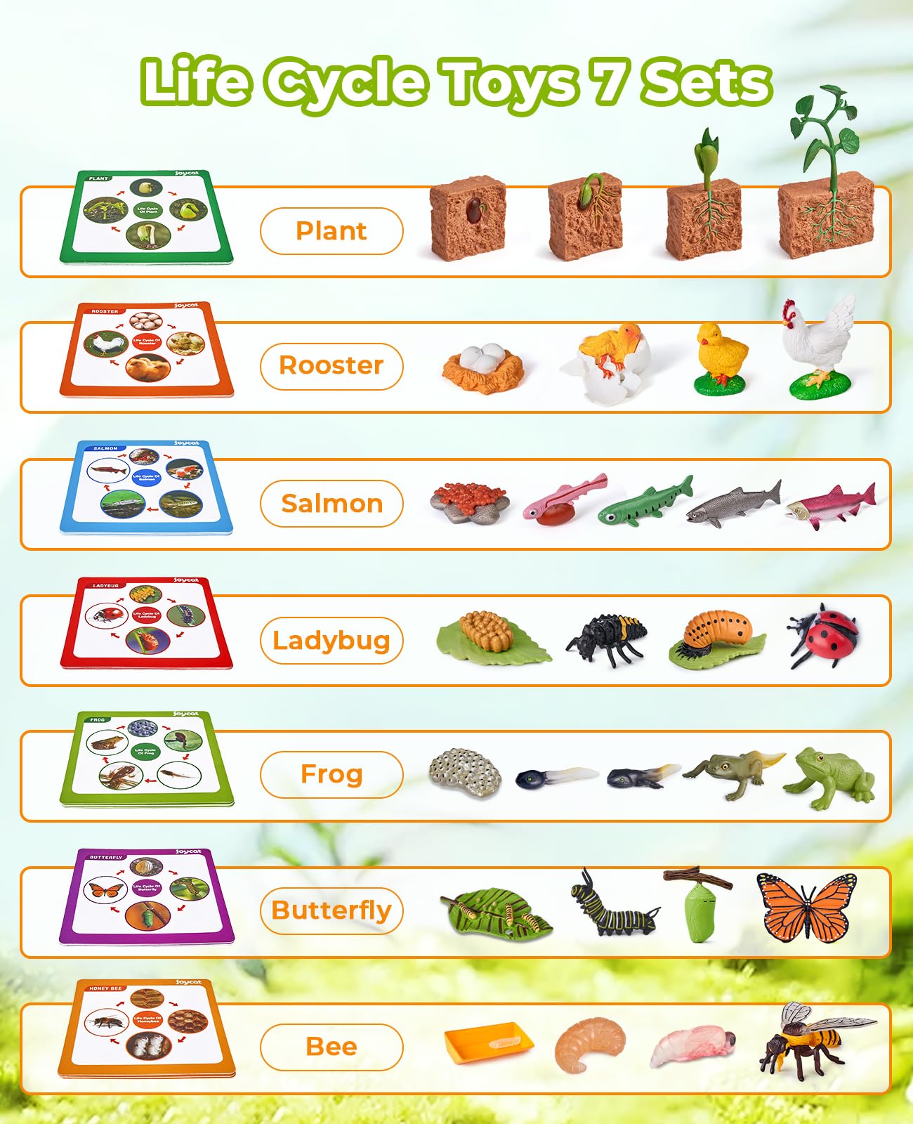 JoyCat life cycle ladybug figure promotes sensory learning and nature observation.
