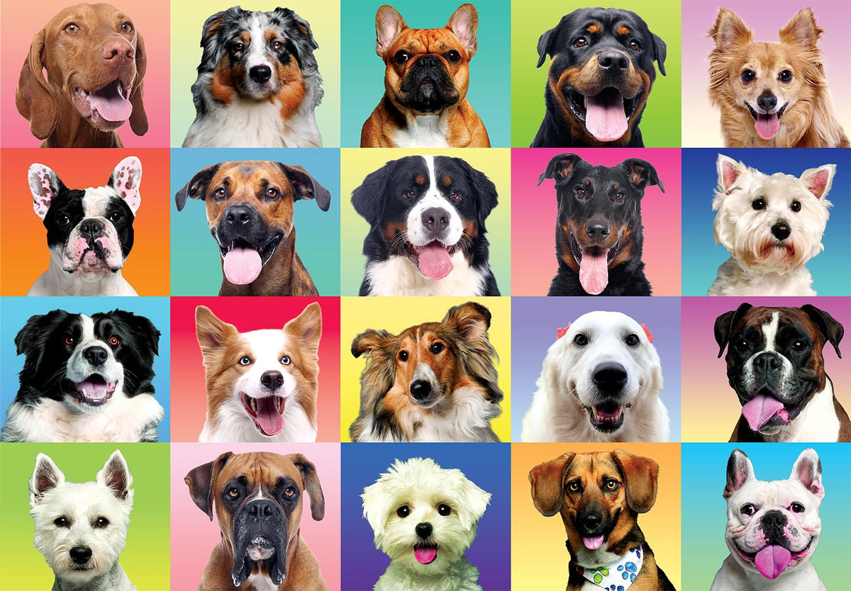 JOYIN dog puzzle 300 pieces arranged for family puzzle night