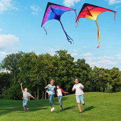 JOYIN colorful delta kite in flight with long tail for stable outdoor activity