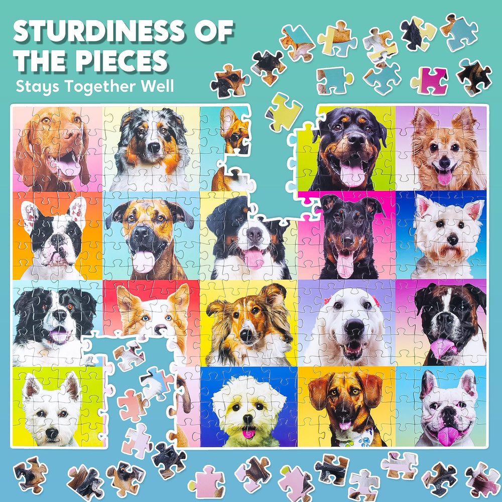 JOYIN non-toxic dog puzzle meets US safety standards