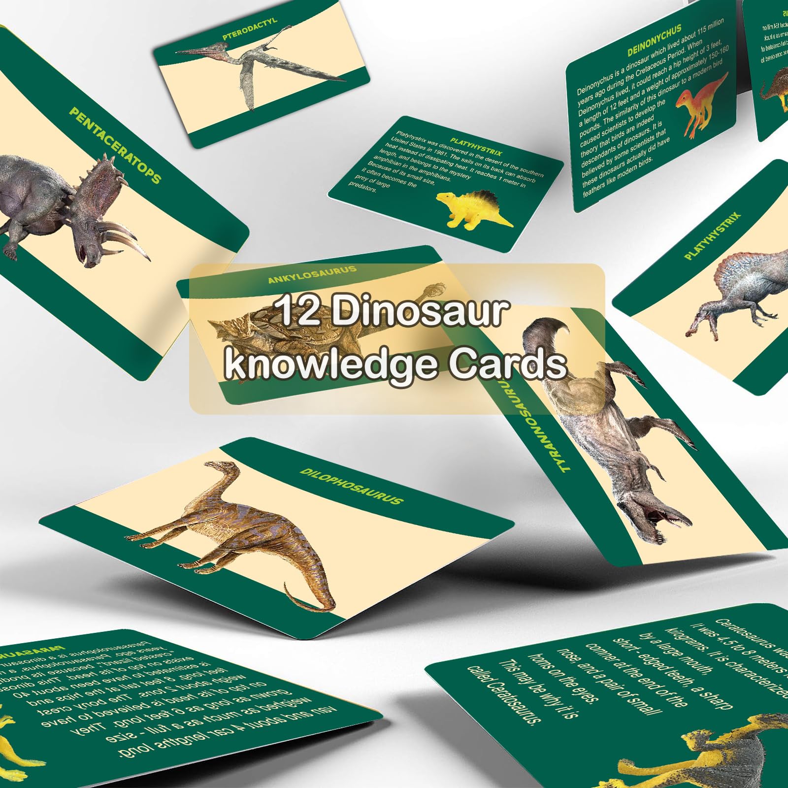 Joyvalley Dino eggs and knowledge cards support group learning at home.