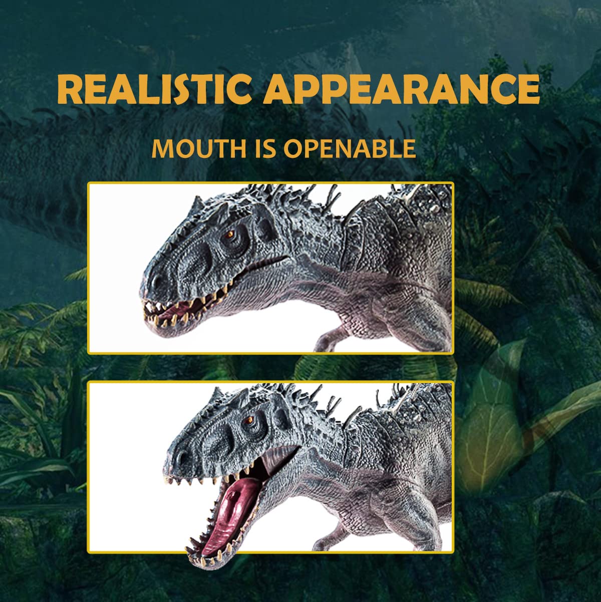 JR PARK Rex stands firm for classroom demonstrations or display shelves.