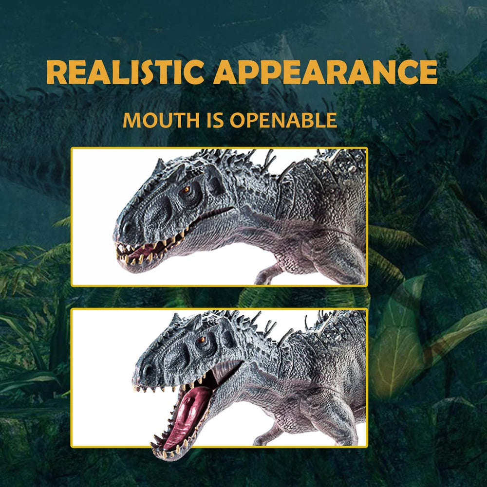 JR PARK Rex stands firm for classroom demonstrations or display shelves.