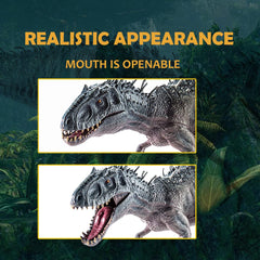 JR PARK Rex stands firm for classroom demonstrations or display shelves.
