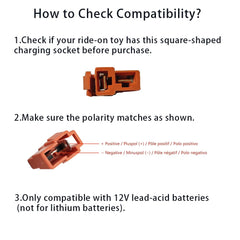 Cable shows input range 100-240V for global compatibility.