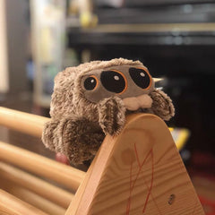 Jumping Spider Plush soft fabric texture with gentle touch