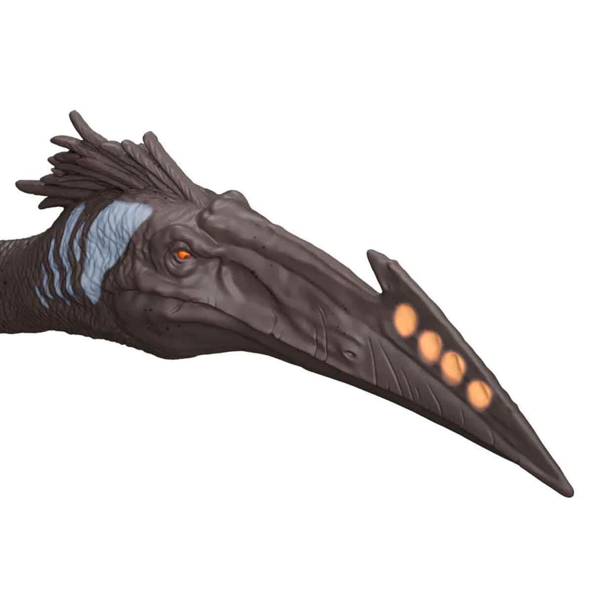 Jurassic World Rebirth Quetzalcoatlus with articulated joints facilitates dynamic diorama posing.