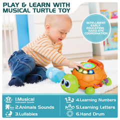 Jyusmile turtle features rotating beads to develop finger dexterity and grip.