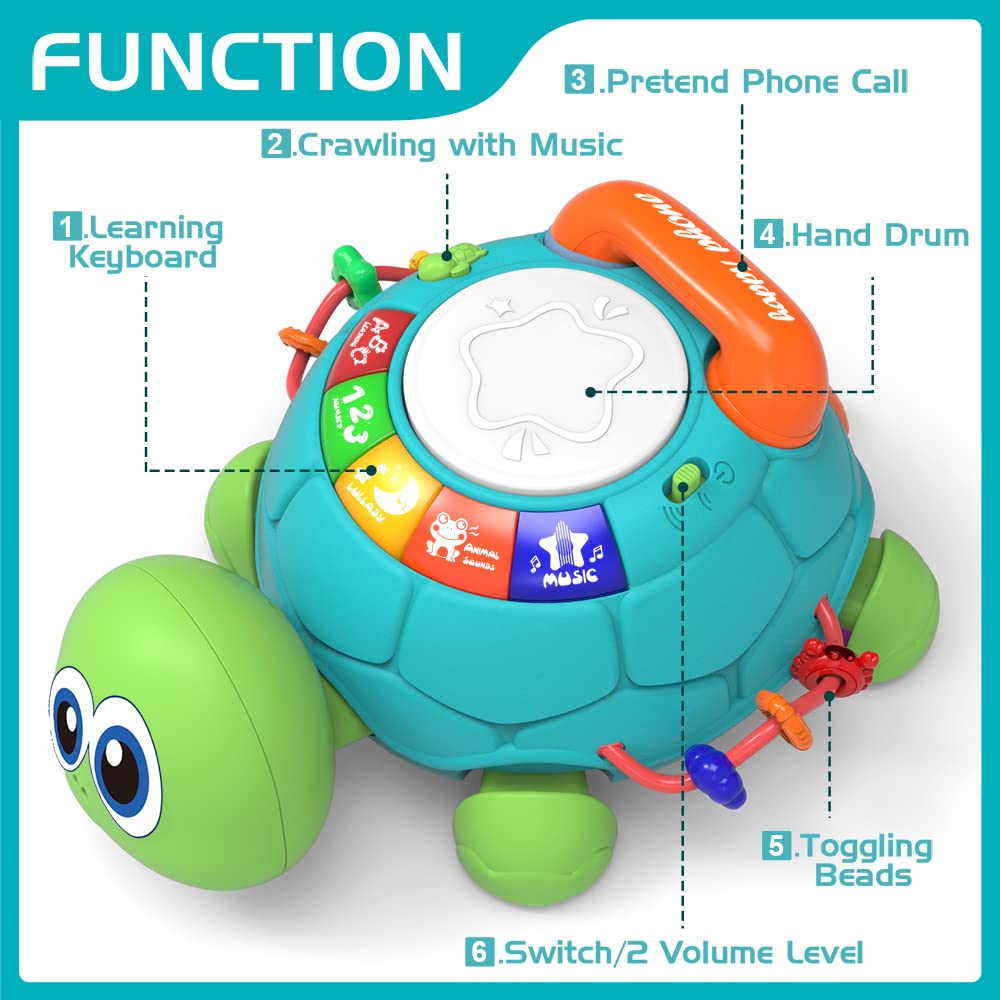 Jyusmile turtle head nod and LED display enhance sensory engagement.