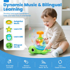 Jyusmile turtle music buttons enable ABC and 123 learning during play