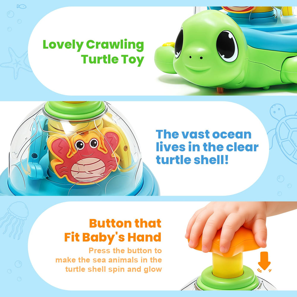 Jyusmile turtle safe ABS materials ensure a durable, non-toxic toy